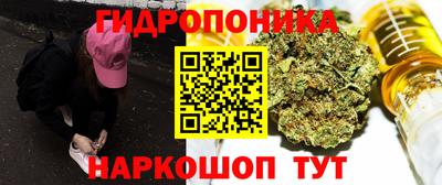 Альфа ПВП Будённовск