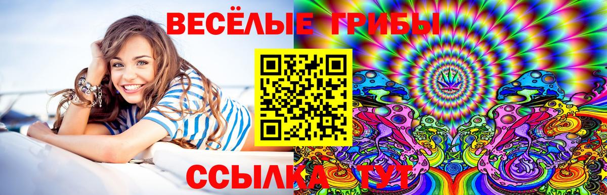 Галлюциногенные грибы GOLDEN TEACHER Саров