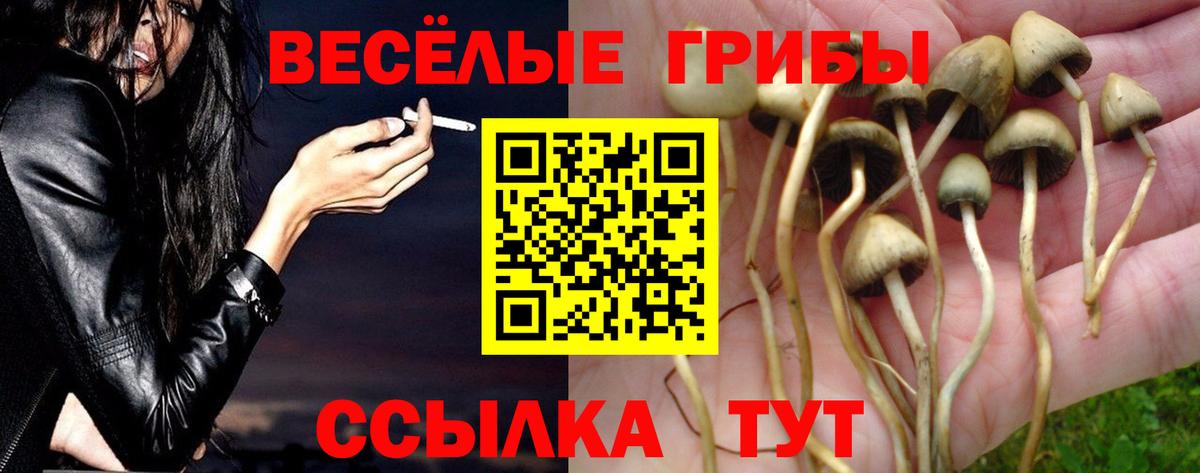 Псилоцибиновые грибы Cubensis  Вход с VPN  Саров 